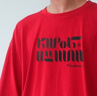 Футболка "Биробиджан", арт.223413